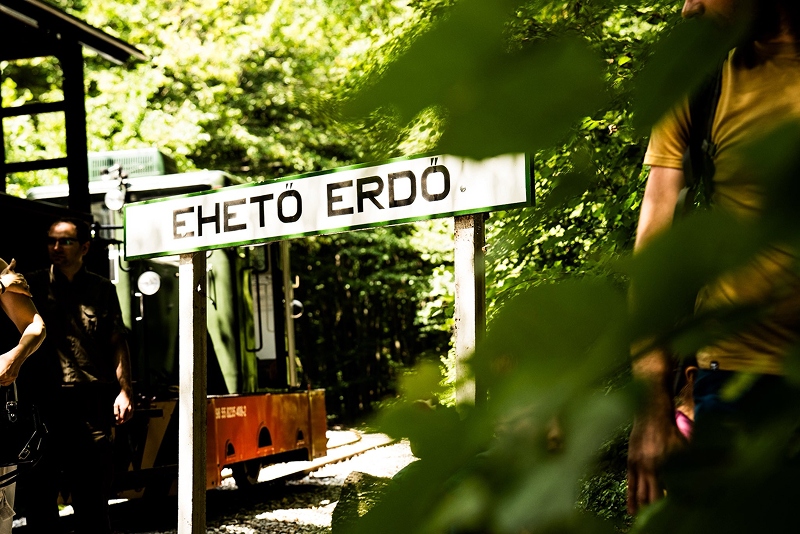 eheto-erdo-erdei-gasztroexpressz-miskolc-vegallomas (1) 1__